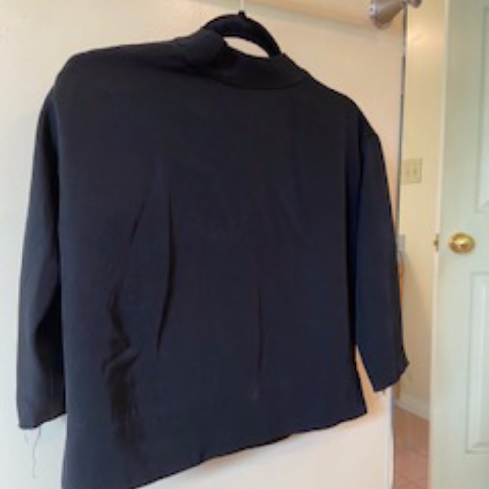 Everlane black turtle neck top